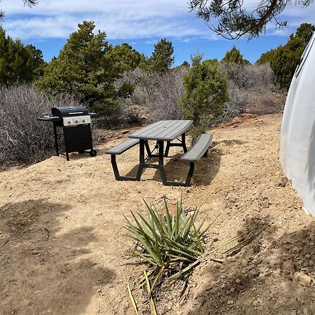 Canyon Rim Domes - A Luxury Glamping Experience!! 蒙蒂塞洛 外观 照片