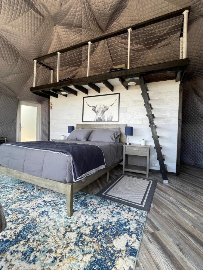 Canyon Rim Domes - A Luxury Glamping Experience!! 蒙蒂塞洛 外观 照片