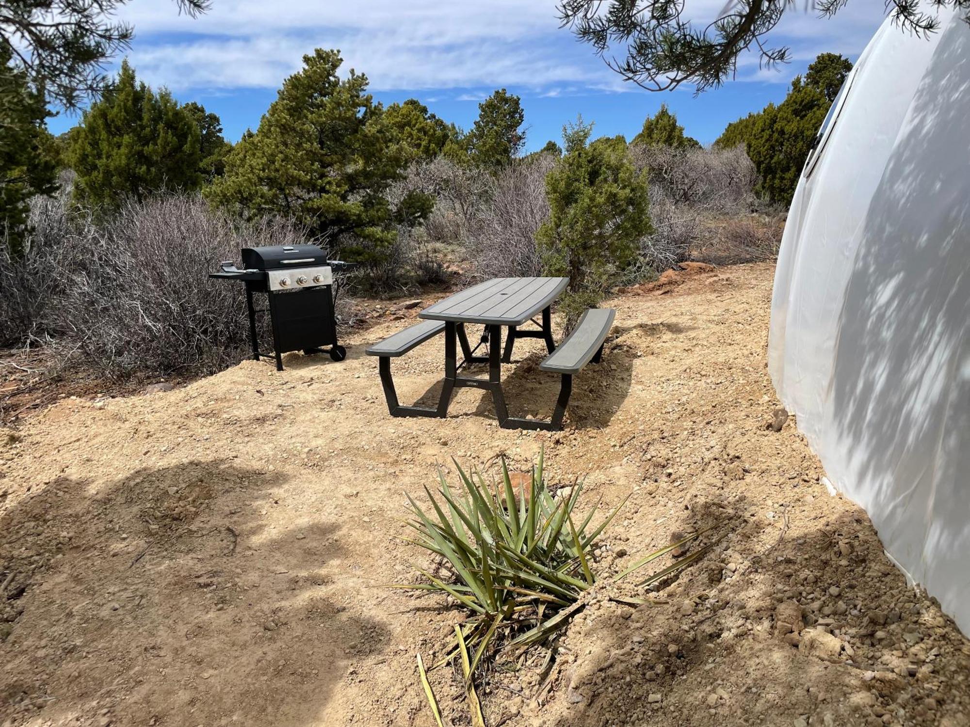 Canyon Rim Domes - A Luxury Glamping Experience!! 蒙蒂塞洛 外观 照片